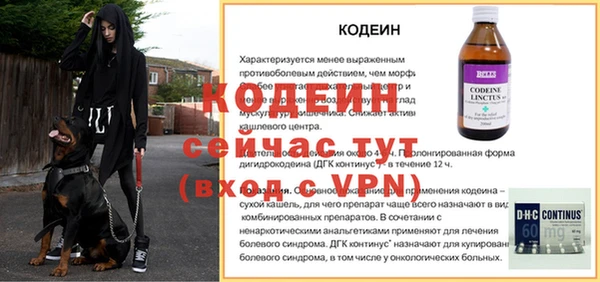 гашик Переславль-Залесский