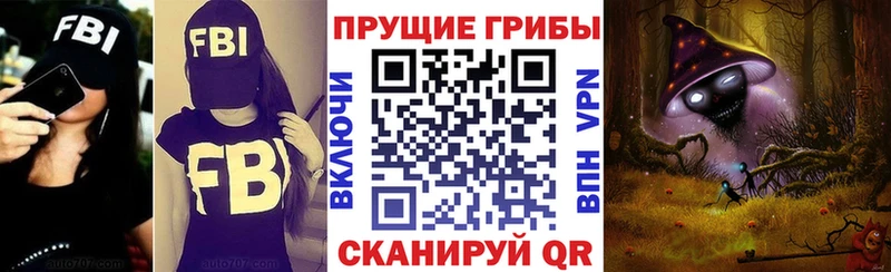 Галлюциногенные грибы Cubensis  Красный Холм 
